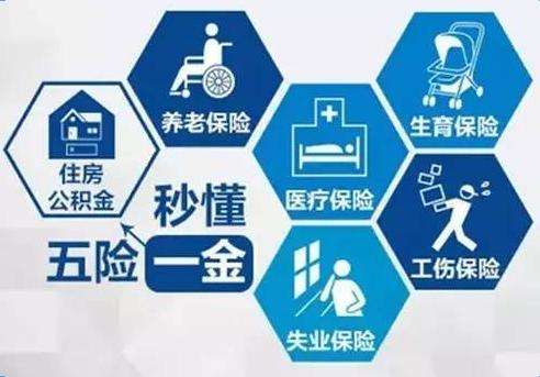 五險有什么用？ 第1張