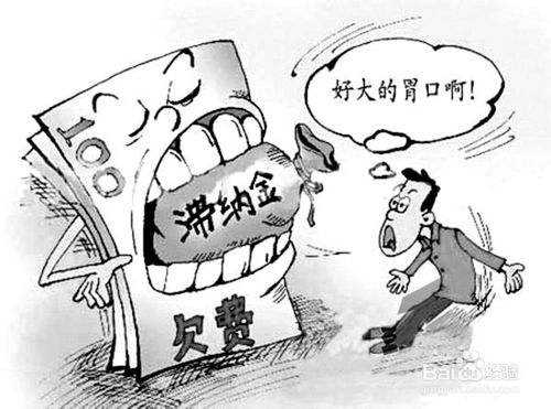 社保滯納金怎么算？ 第1張