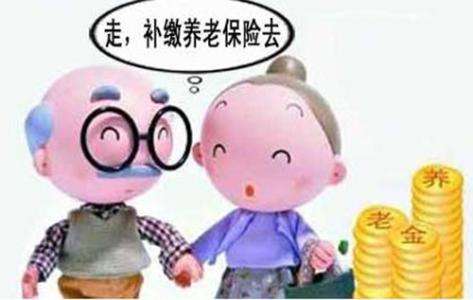 怎樣補(bǔ)交養(yǎng)老保險金？ 第1張