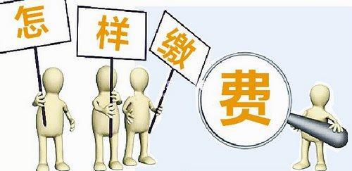 什么公司可以代繳養老保險？ 第1張
