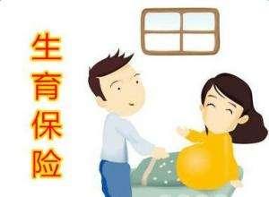 職工參加生育保險可以享受哪些待遇？ 第1張
